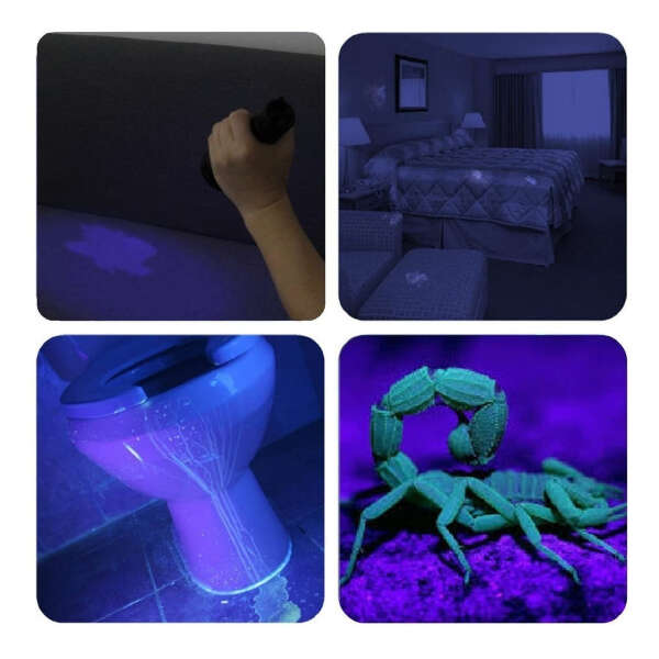 Linterna Luz Negra Uv Para Detección Orina Mascotas Vansky Color De La Linterna Negro - Image 5